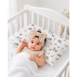 Toddler Pillowcases 2 Pack, 13 x 18 in, Envelope Closure, Little Farm