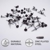 SKIR'CO (Pack of 50) Painted 4.2 x 16 mm Self