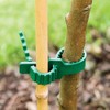 8 PCS Tree Stake Support Bands, Heavy Duty Adjustable Interlock,