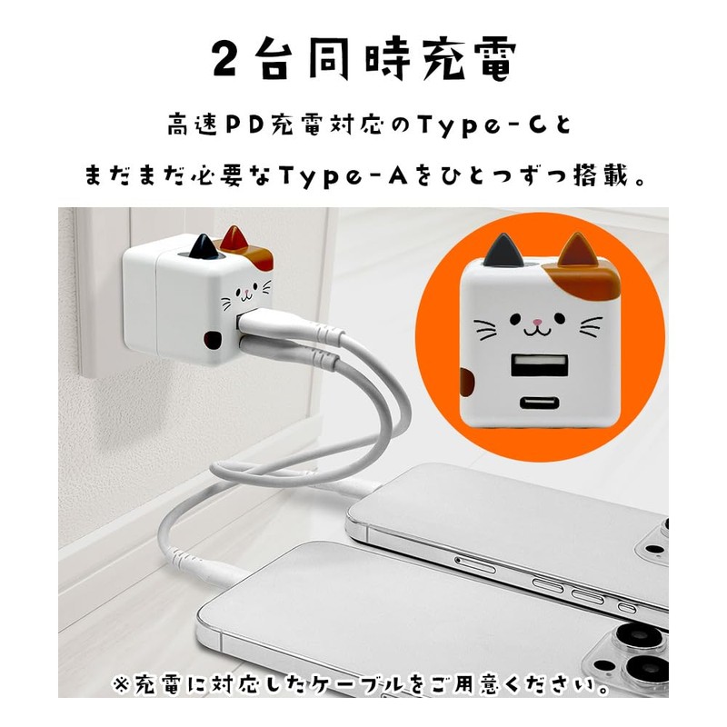 RACCA20W03KHK RACCA20W03KHK Rasta Banana, USB Charger, Compatible with AC Type-C