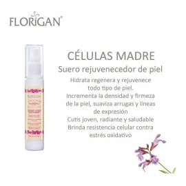 Celulas Madre Crema Hidratante 110grs. Y Suero 60ml. Set 2