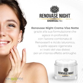 Renovase Night Anti-Wrinkle Face Cream, Night Anti-Inflammatory Effect on the Skin, Face Cream Hyaluronic Acid
