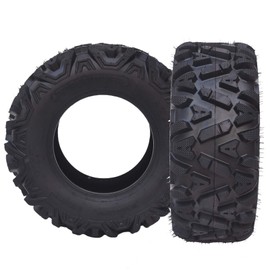 G‌arveeTech ‌Set of 2 UTV/ATV Tires 25x10-12 6PR Tubeless All-Terrain Tire - Off-Road, Rock, Sand & Street Use - Heavy Duty Puncture Resistant for Trail, Mud, Riding
