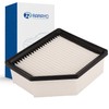 Filtro de aire del motor de repuesto para Nissan Rogue
