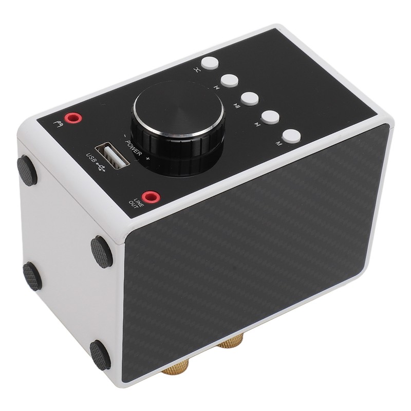 200W Bluetooth 5.0 Amplifier HIFI Stereo Sound Digital Amp Wireless