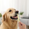5 PCS Small Dog & Cat Toothbrush Micro Head, Puppy
