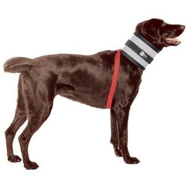 BiteNot Collar, 6" W x 27" L
