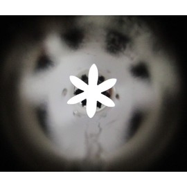 Decoration Tips Flower 7-6 Pieces No.131