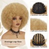 BESSY HAIR 70s Afro Wigs for Black Women, 27 Curly