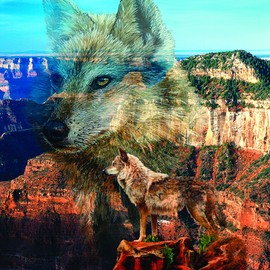 Haunted Canyon 500 Piece Jigsaw Puzzle by SunsOut - Wolf Theme