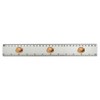 'Cappuccino Coffee' 30cm (12 Inch) White Plastic Ruler (RL00087310)
