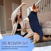 SlowTon Dog Surgery Recovery Suit, Dog Cone E-Collar Alternative After