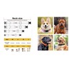 Strong Bright Reflective Dog Puppy Collar, Soft Padded Lightweight, Fully
