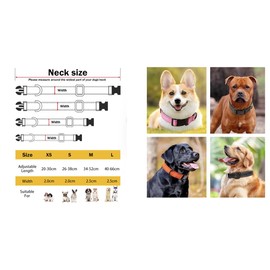 Strong Bright Reflective Dog Puppy Collar, Soft Padded Lightweight, Fully Adjustable. Small Medium Large Dog Breeds (Pink, M (Pack of 1))