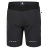 Regatta Mens Mountain II Shorts Ash/Black