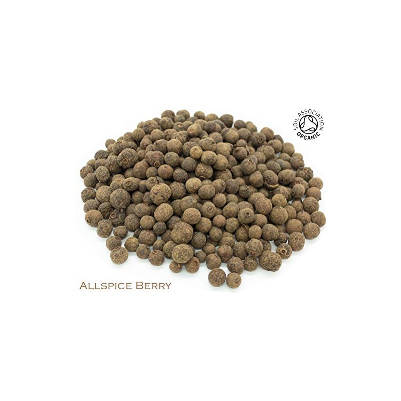 Organic Allspice Berry Pure Herbal Infusion (25 Unbleached Tea Bags