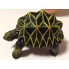 Turtle figure 2 Body 1 Pairs hosigame・arudaburazougame Buildable in Egg