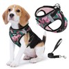 Jolifield Step in Dog Harness with Leash Set, Adjustable Soft