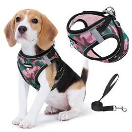 Jolifield Step in Dog Harness with Leash Set, Adjustable Soft Padded and Breathable Mesh for Medium Sized Dog, Reflective No Pull No Choke Cat Vest Harness, Easy Control Pet Vest, Pink XL