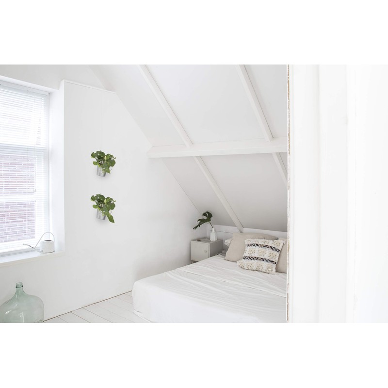 STAS Picture Hanging System: STAS minirail Silver 150cm + Installation