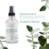 Hidrolato De Eucalipto Puro Refrescante, Astringente 120 Ml