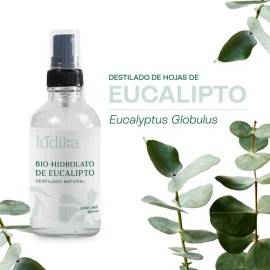 Hidrolato De Eucalipto Puro Refrescante, Astringente 120 Ml