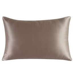 townssilk Both Side 100% 19mm Silk Pillowcase Queen Size Pillow Case Cover with Hidden Zipper Lightbronze