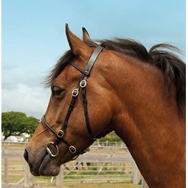Windsor Quality Leather Brass In-hand Bridle (Havana, Pony)