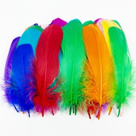 50 Pcs Colorful Feathers for Crafts, Color Feather Fantasy Ornament, Natural Goose Feathers for DIY Dream Catchers Earring Wedding Party Art Crafting Gift Box Filling Decoration Crafts, 18-20cm