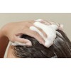 아로마티카 스칼프 스케일링 샴푸 리필 로즈마리 Aromatica Scalp Scaling Shampoo