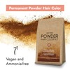 One 'n Only Powder Hair Color Kit, Dark Golden Blonde,