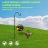 Hanging Chicken Feeder, 7 Inch Chicken Food Dispenser with Shepherd's