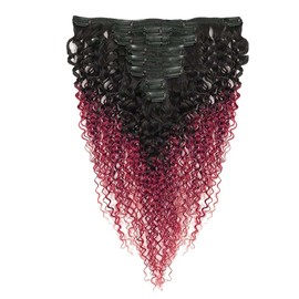 Curly Clip in Hair Extensions Brazilian Virgin Remy Hair Curly Clip (20", 99j curly)