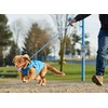 RC Pet Products 67408269 Shasta Jacket Fleece Lined Dog Coat,