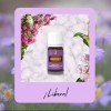 Young Living Aceite Esencial  Forgiveness Young Living 5ml