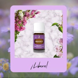 Young Living Aceite Esencial  Forgiveness Young Living 5ml