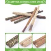 Silvervine Chew Sticks for Cats, 10 Pack Natural Catnip Chew