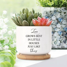 DecStic Love Grows Best in Little Houses Just Like This Ceramic Planter Bible Verse Snake Plant Live Indoor with Pot with Drainage Holes and Saucers Pot for Indoor Outdoor Garden