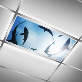 2 Pcs Fluorescent Light Covers for Ceiling Lights,Marine Life Magnetic Light Covers with 10 Magnets Fluorescent Light Filters for School Classroom Home Office Drop Ceiling Lamp Decor 4 x 2 Feet