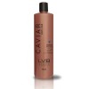 Caviar Shampoo Anticaída 500ml