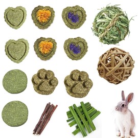 SHEPAILAI Rabbit Chew Toys for Teeth,Guinea Pig Toys,Natural Young Papaya Wood stem Apple Wood Sticks，Natural Timothy Hay Chew Toy Improve Dental Health for Holland LopImprove Dental Health（32 PCS）