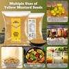 Rani Yellow Mustard Seeds Whole Spice 14oz (400g) ~ Ideal
