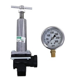 TeeJet 8460-1/2 Pressure Regulator with 300 PSI Pressure Gauge (Bundle, 2 Items)