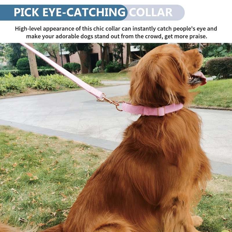 Soft Leather Martingale Dog Collar - Adjustable Rose Gold Limited