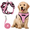 EDLMKM Dog Harness and Leash Set, Soft Mesh Reflective Breathable