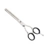 Aashta Hairdressing Scissors 5.5 Inches