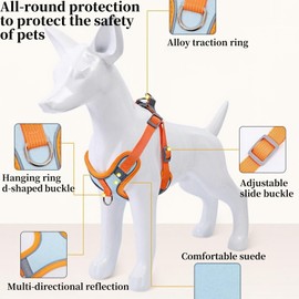 NOWFRESH Cats and Small Dogs Harness and Leash for Walking - Escape Proof Soft Adjustable Vest, Breathable with Reflective Strips for Easy Control（Orange and Blue）