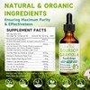 Soursop Graviola Liquid Drops - 2000mg Pure Soursop Extract Blended
