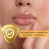 Balsamo labios Lip oil Hidratante de labios Protege y repara