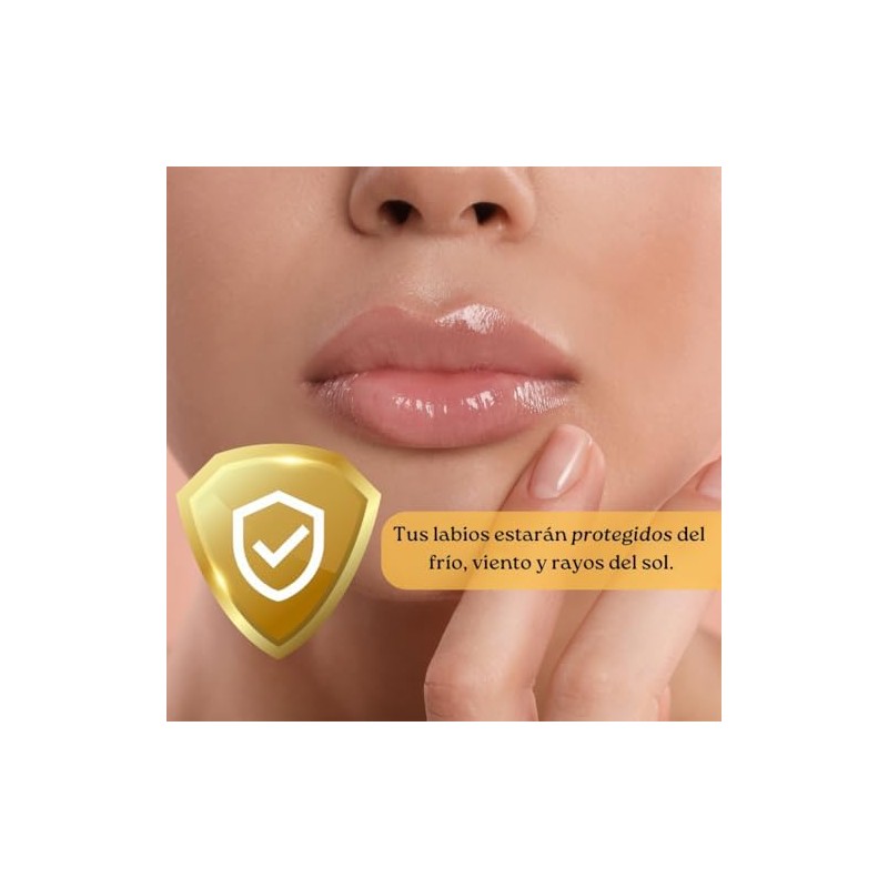 Balsamo labios Lip oil Hidratante de labios Protege y repara